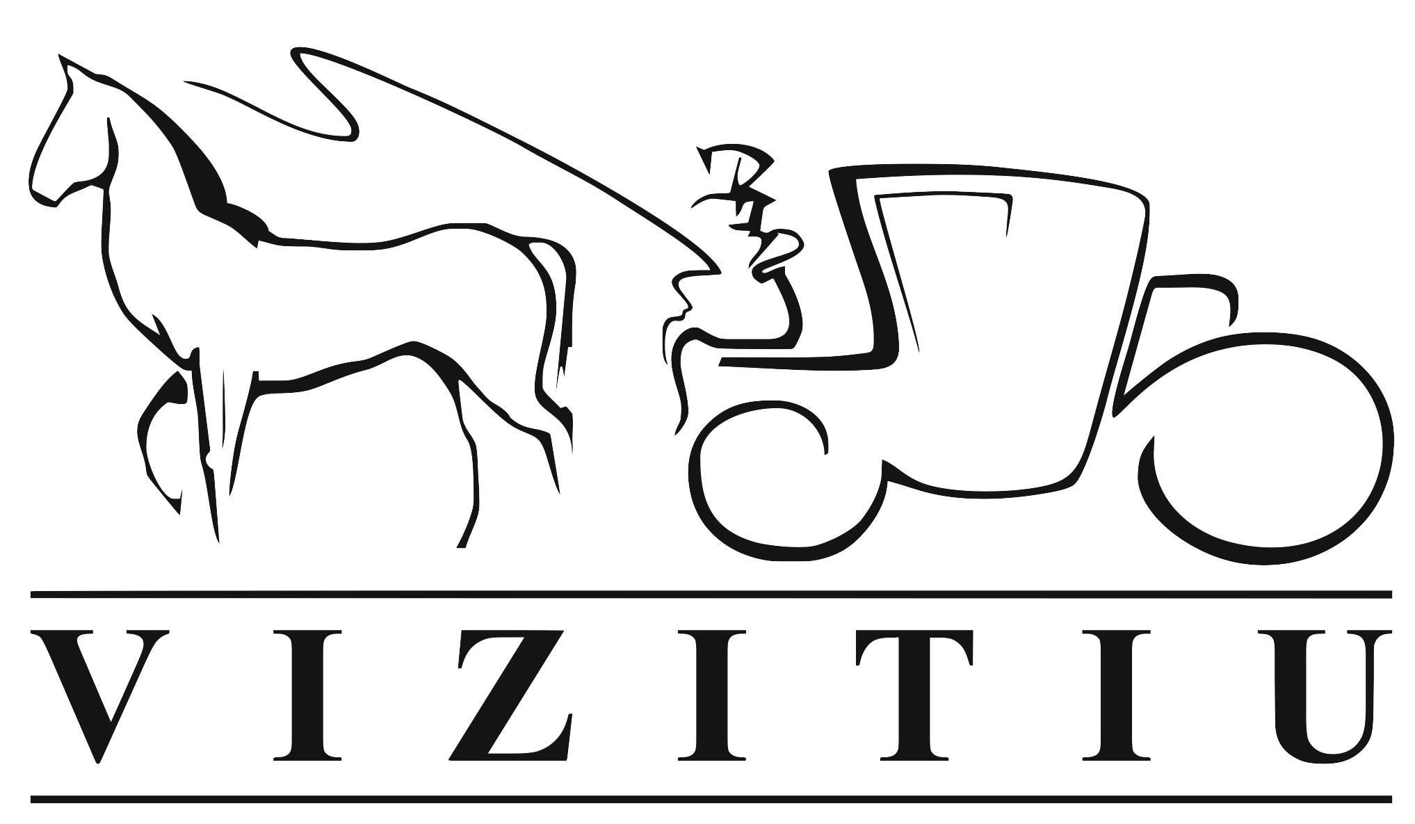 Petru Vizitiu